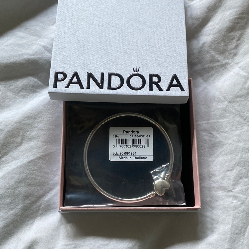 Pandora silver charm bracelet